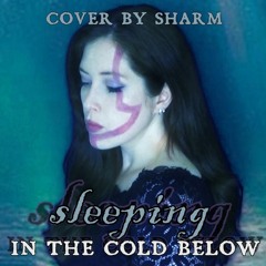 Sleeping In The Cold Below (Warframe cover)