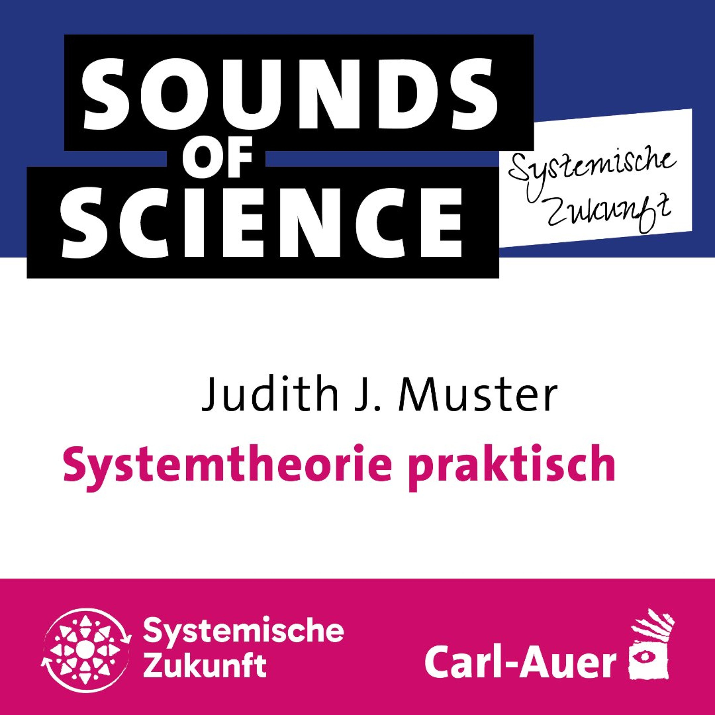 #8 Systemische Zukunft | Judith J. Muster – Systemtheorie praktisch episode artwork