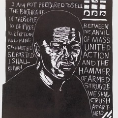 innate creates: Norman Kaplan Anti-apartheid Exhibition