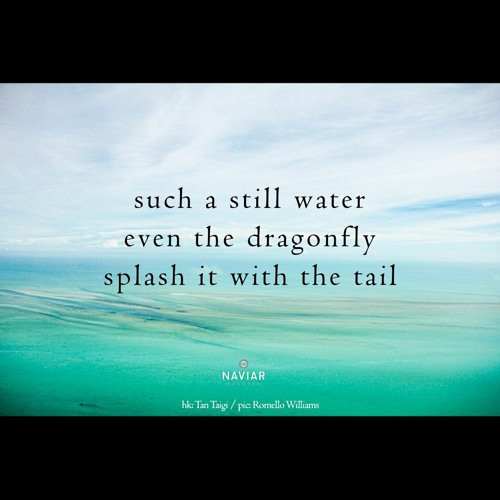 Architecture of the dragonfly Part 4  [naviarhaiku399]