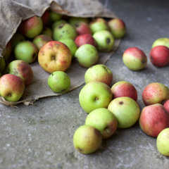 Making juice by pressing apples in Norfolk