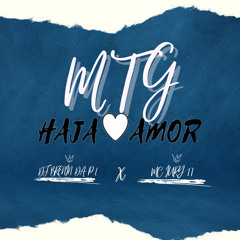MTG (HAJA AMOR) MC IURY 17 & DJ BRENIN DA PL