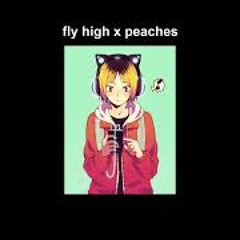 Haikyuu Mashup Fly High x Peaches