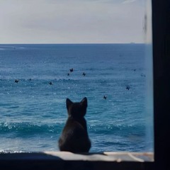 napfény feat. boizy