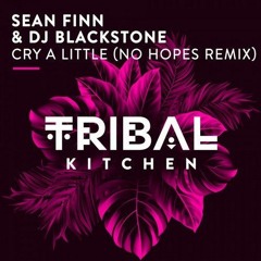 Sean Finn & DJ Blackstone - Cry A Little (No Hopes Radio Mix)