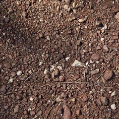 Jason Lock from Boughton says that top soil can be manufactured and asks if it is sustainable