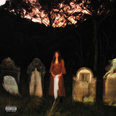 I Would Hate Me Too! (Prod. M0sh Blac)