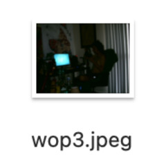 wop 3 (army shleemerz mix)