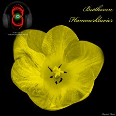 Piano Sonata no. 29 in B flat major 'Hammerklavier', Op. 106 - I. Allegro - Ludwig van Beethoven (8D - Headphones mandatory for the best experience)