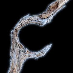 #1 Marcia Bjornerud. Thinking like a geologist. Kairos. Polytemporality. Timefulness. Deep time.