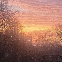 "You Can Finally Save Me"