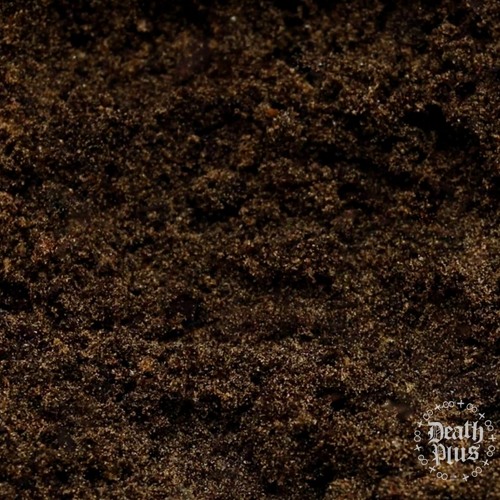 In The Dirt