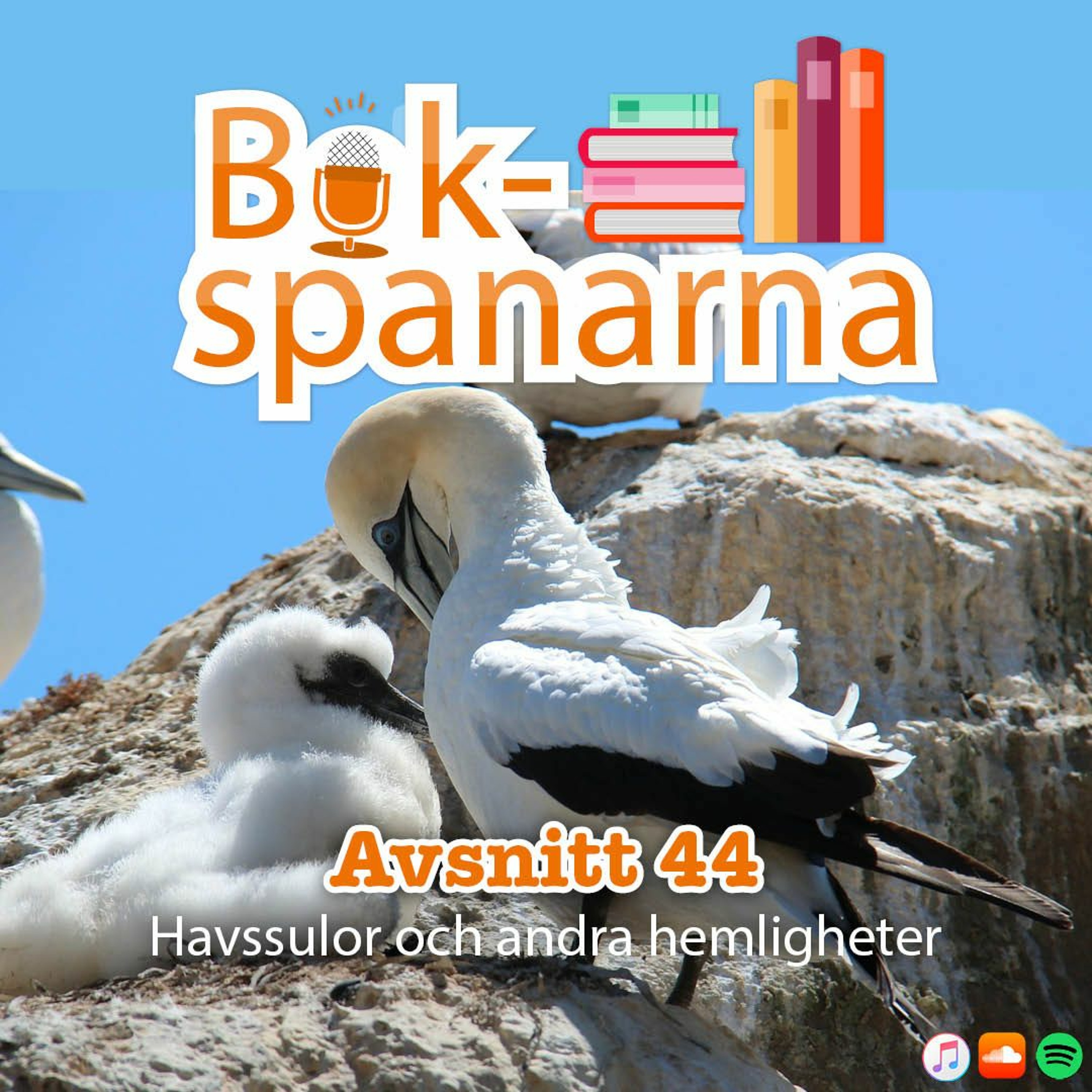 Bokspanarna