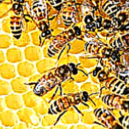 floyd 313 - bees (unreleased) prod @floyd313