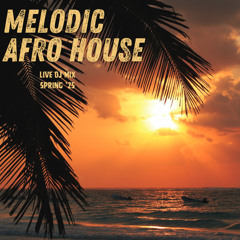 Melodic Afro House Mix 2025 - Live DJ Set