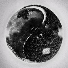 Fung Shway (feat. Tyla Yaweh)