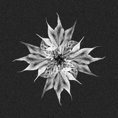 Premiere: Troma & PERS1 - Autumn Moon (808 Mix)