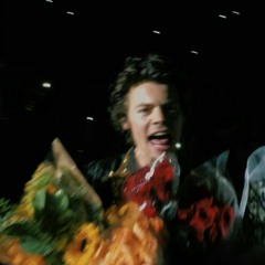 fineline - harry styles | love on tour