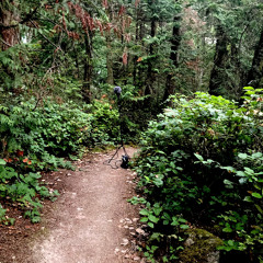 Montague Harbour - Galiano - Gray Peninsula Aug 6 2023 0555