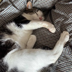 BPM 02 July2025acid.wav