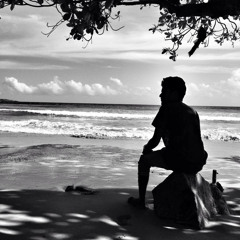 Fevifaa - Luweiz (Cover)