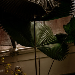 Sriracha #02 - Bélane & Zabriskie (28.12.24)