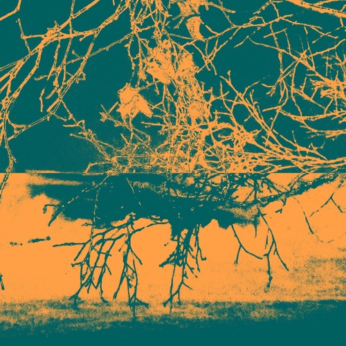 Posted In The Park (prod. everestdidthis)