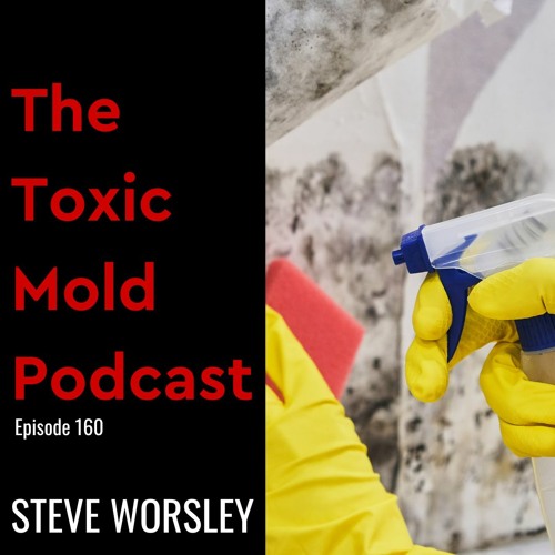 EP 160: Must Have Tools to Prevent a Toxic Mold Infestation