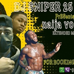 NAIJA AFROBEAT 2023 VOL.4,  EXTENDED MIX , BURNA BOY AYRA STARR JOEBOY  K.O  RUGER  OMAY LAY  REMA_l