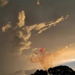 ‘RIP HULK HOGAN’ [p. blemeego]