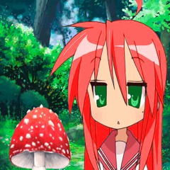fly agaric mushrooms