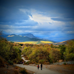 Beyond Trance #13: Forever