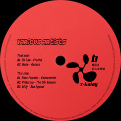 PREMIERE: Guile - Access [X-Kalay]
