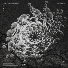 Leftfield Doomer 6.9