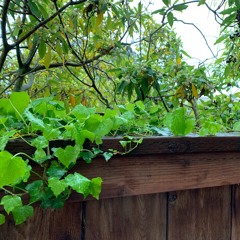 a little lonely... (demo)