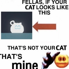 Raycats Cats are Liquid A Better Place Original