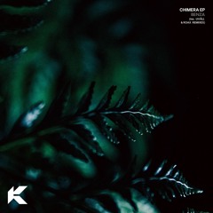 Premiere: BENZA — Soft & Tender [KOV006]