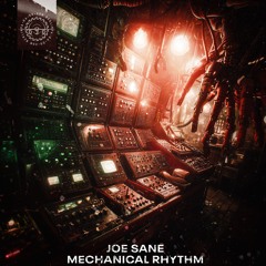 JOE SANE - MECHANICAL RHYTHM [PARA24]