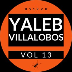 Yaleb Villalobos