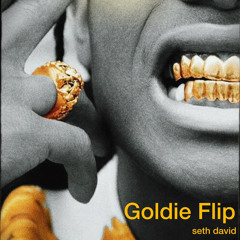 Seth David, A$AP Rocky - Goldie Flip