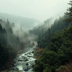 Lots of music coming - Prv