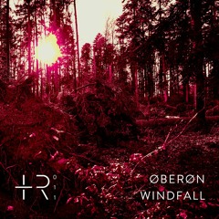 [PREMIERE] | Øberøn - Heavy Windfall  [TTR011]