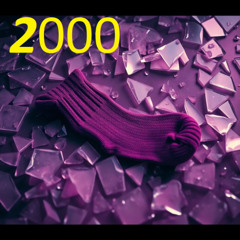 2000  right  sock