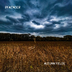 Autumn Fields