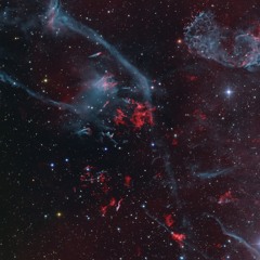 Multiverse