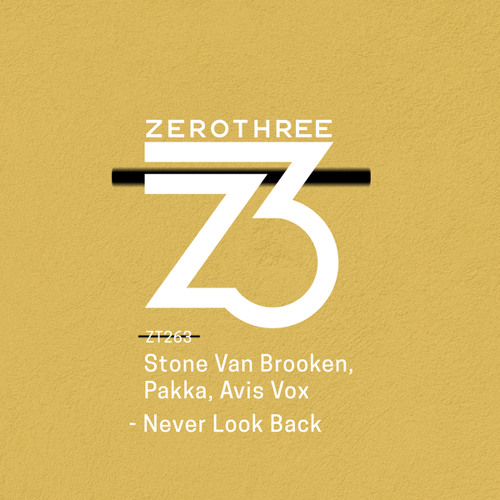 Never Look Back (Extended Mix) [feat. Avis Vox]