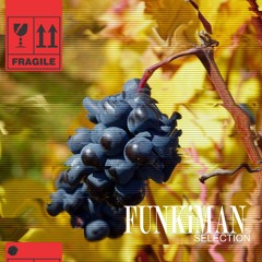 FUNKiMAN's SELECTION 0115 - Tagmann Guest Mix