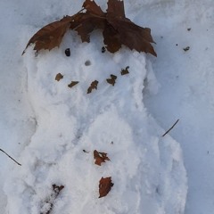 project 2 (free download)