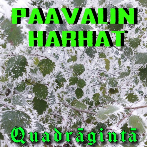 06.PAAVALIN HARHAT - PAHUUS.mp3