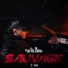 So la Zone sauvage
